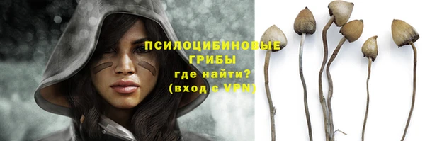 хмурый Алзамай