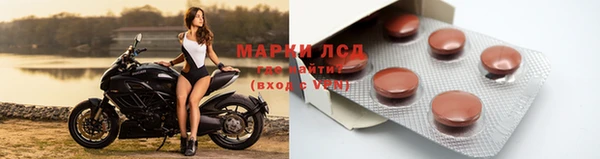хмурый Алзамай