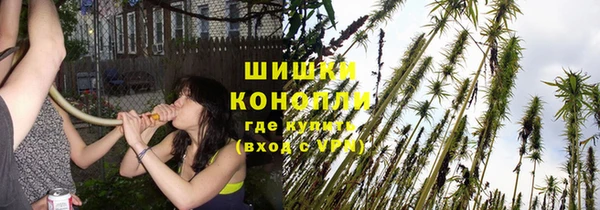гидропоника Алексеевка
